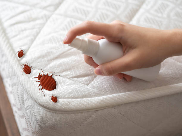 Best Residential Pest Control  in Murrysville, PA