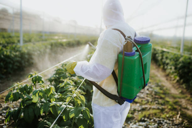 Best Exterminator Services  in Murrysville, PA